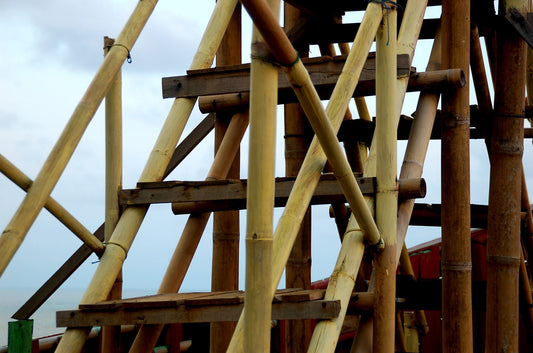 Bamboo utilisation in construction