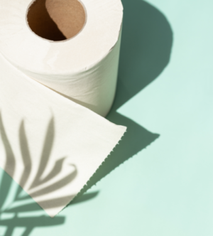 What did people use before toilet paper?